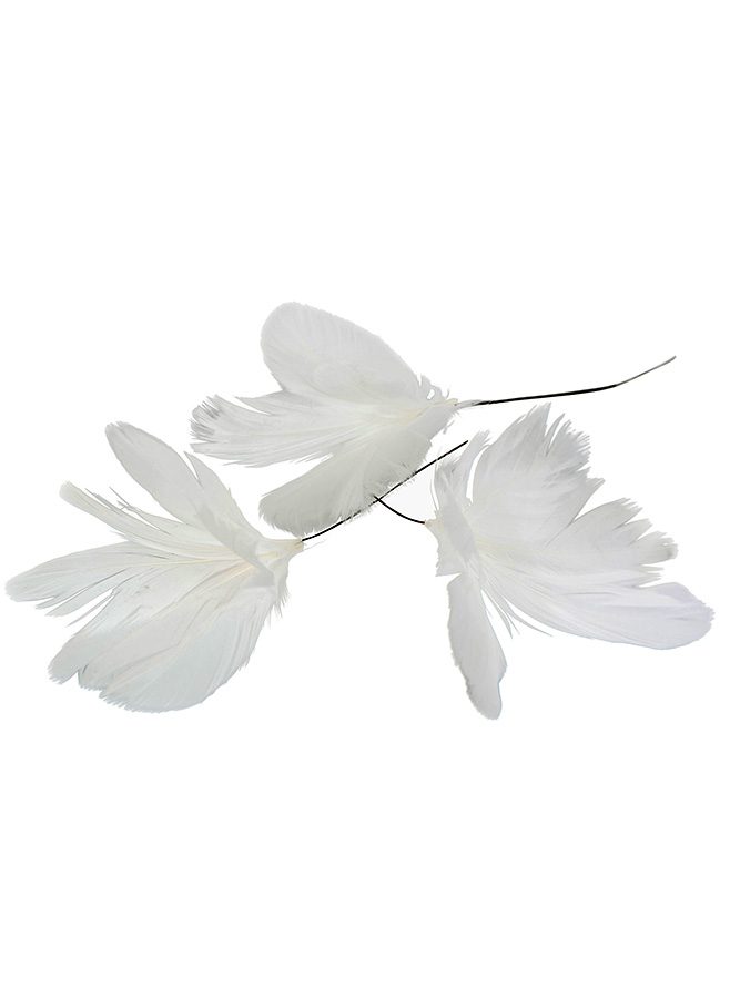 Påskfjädrar vita blommor